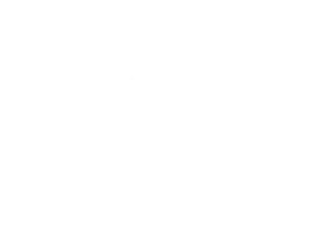 Polisonora Band Logo